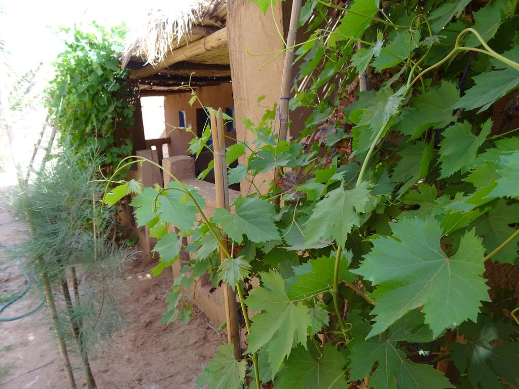 Auberge Tigida M'Hamid Exterior photo